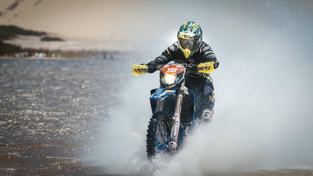 Between Trees: Final Teaser